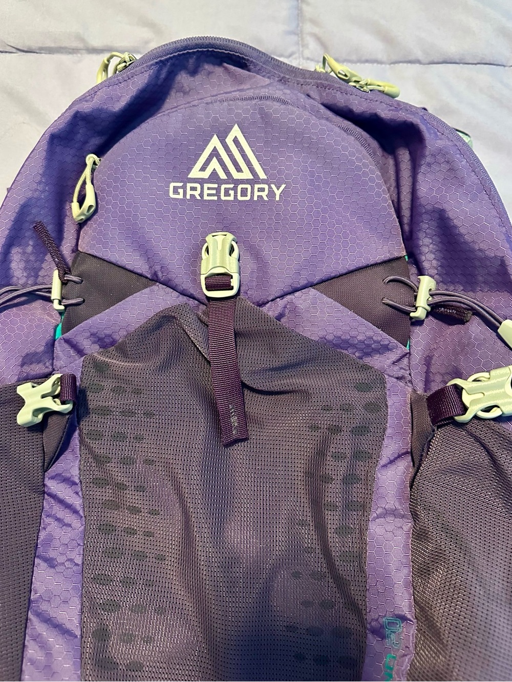 Gregory purple daypack with teal logo accents - Picture 2 of 14
